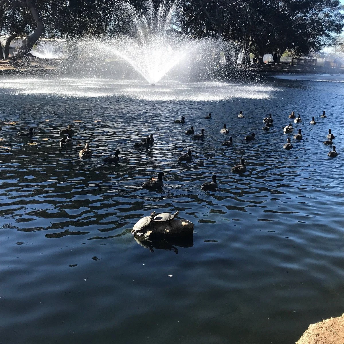Tewinkle Park