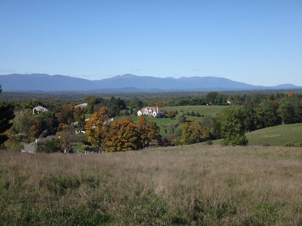 Burger Hill Park