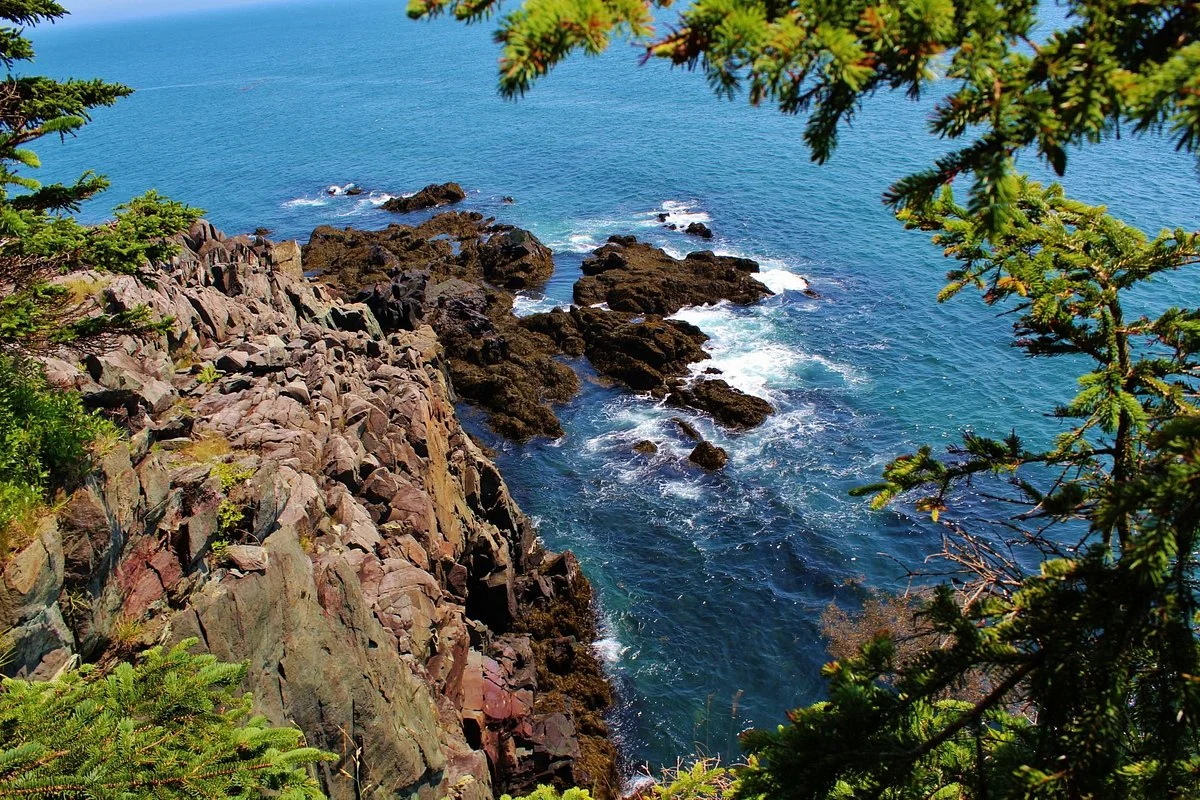 The Bold Coast