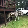 Nashoba Brook Wildlife Sanctuary