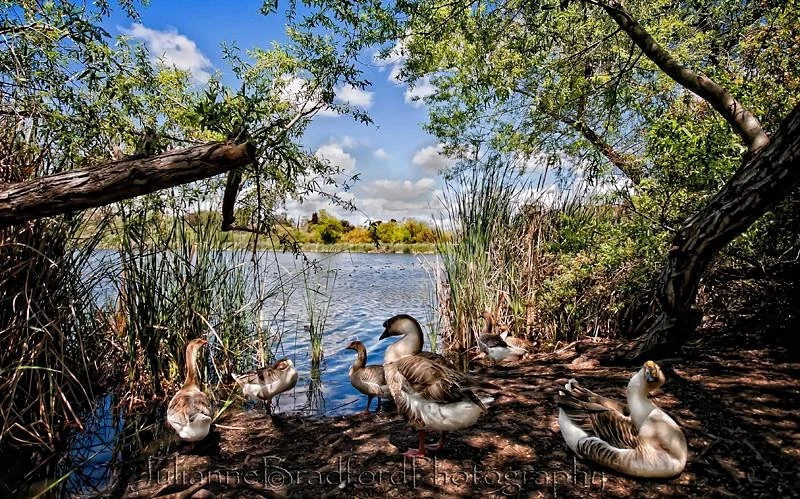 Guajome County Park