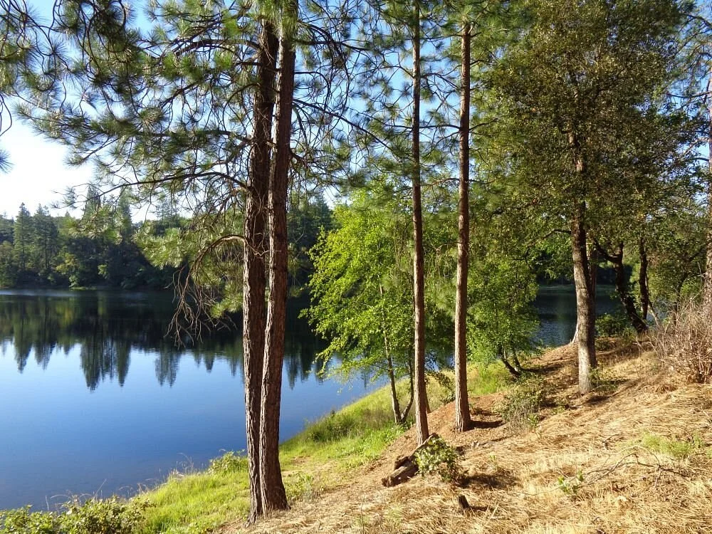 Lake Tabeaud Picnic Area