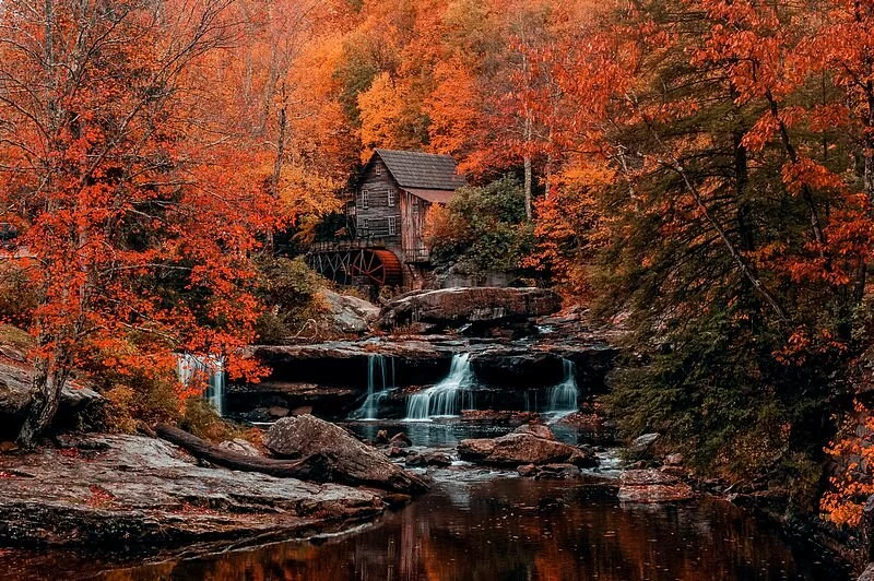Babcock State Park