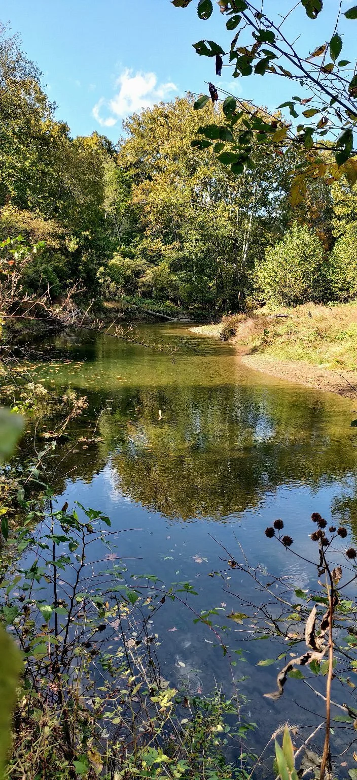 Raccoon Creek State Park