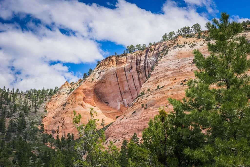 Kolob Terrace Road