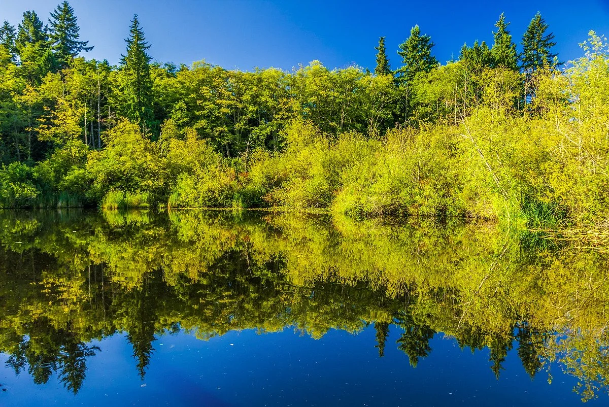 Scriber Lake Park