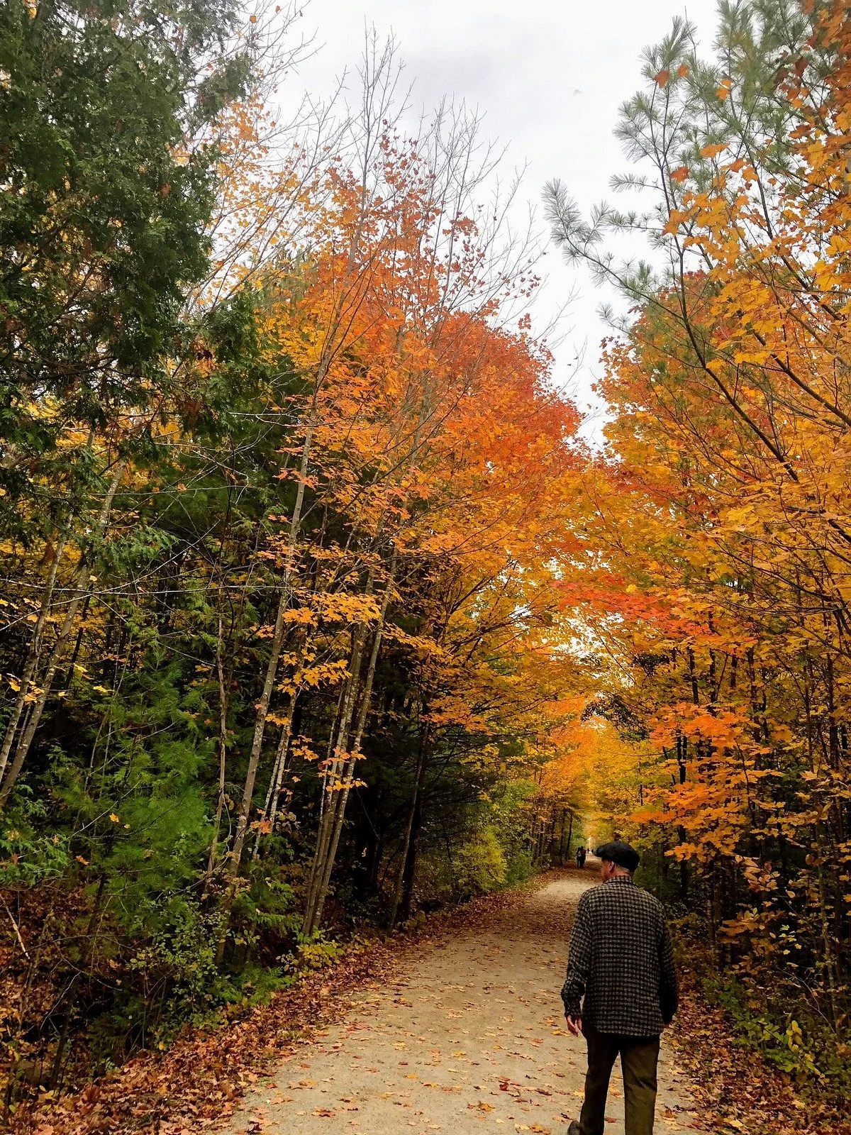 Caledon Trailway