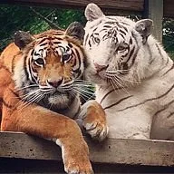 Plumpton Park Zoo