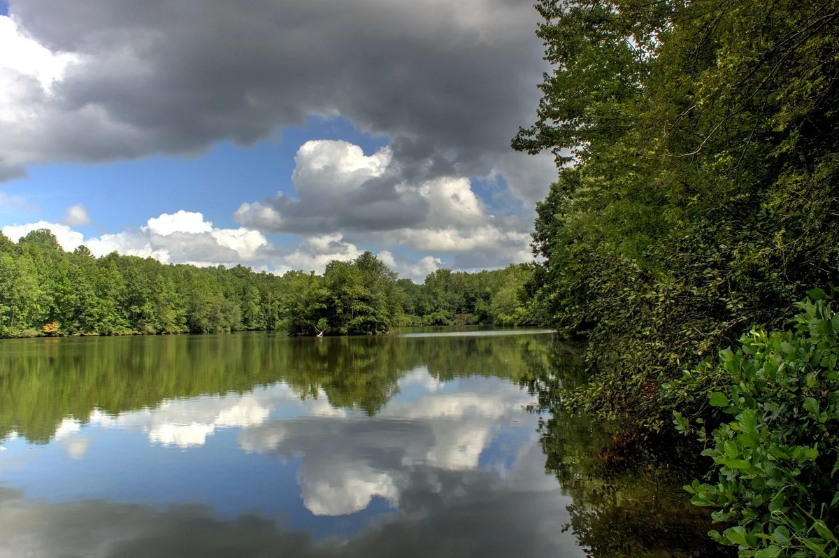Andrew Jackson State Park