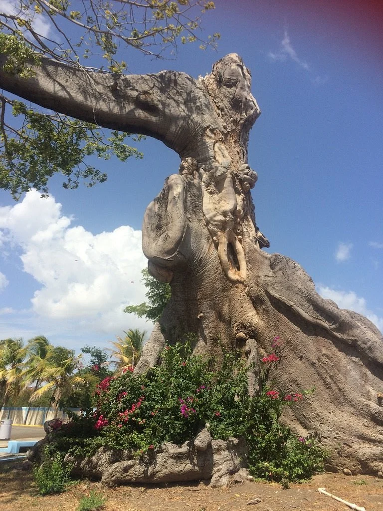 Parque de la Ceiba