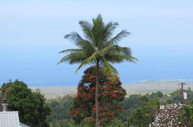 Royal Kona Coffee Center