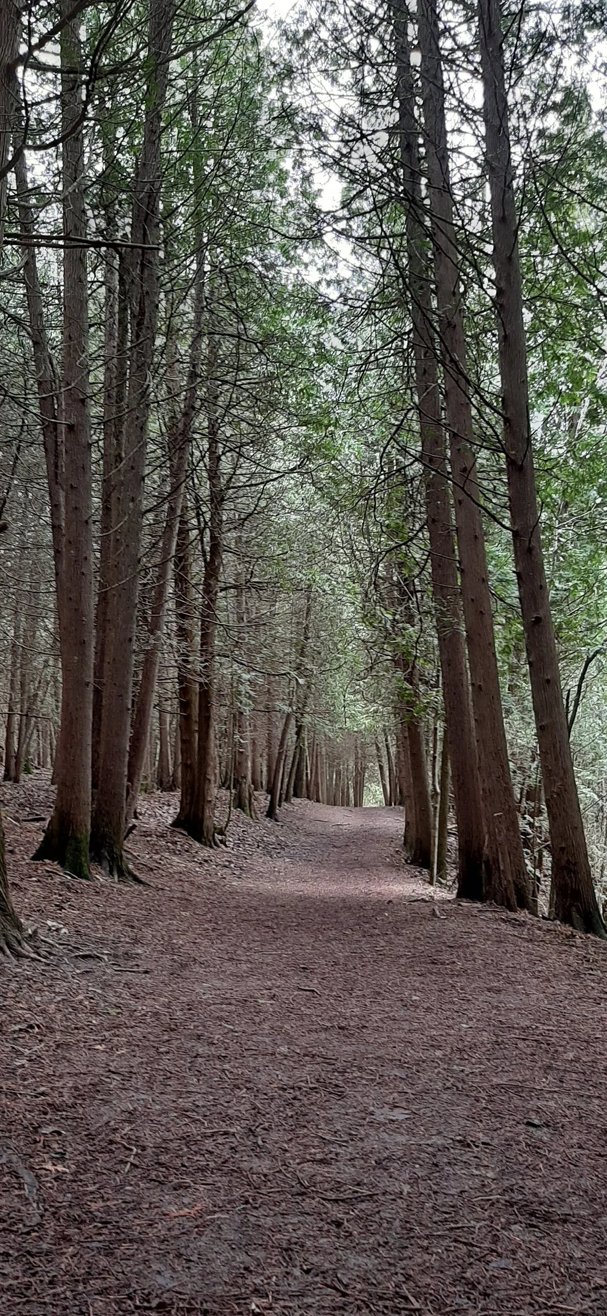 Stephen's Gulch Conservation Area