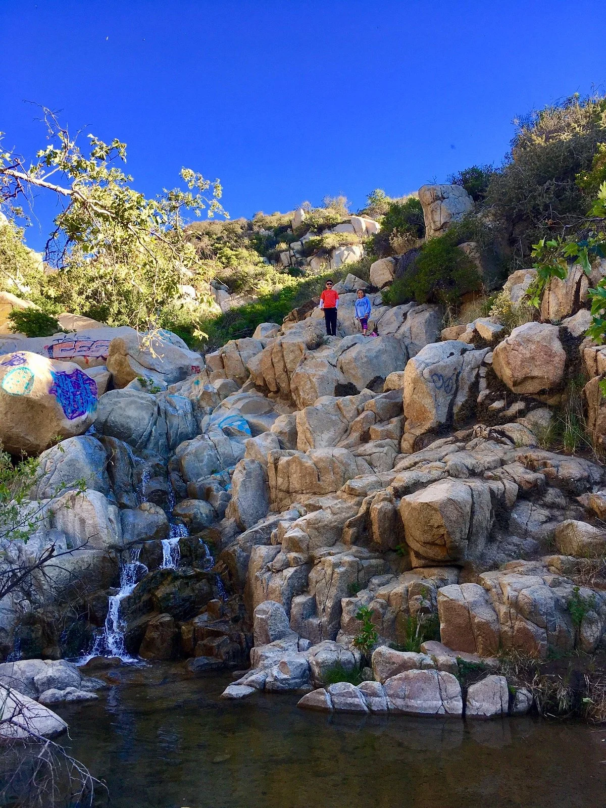 Ortega Falls