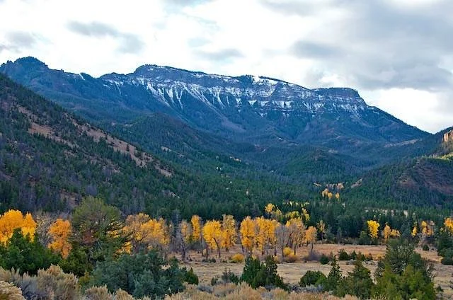 Shoshone National Forest