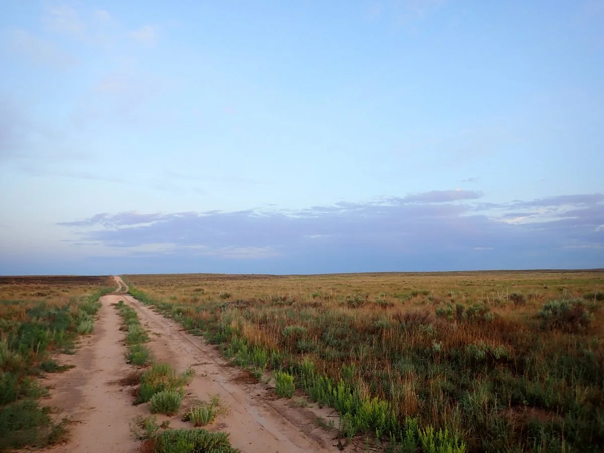Comanche National Grassland