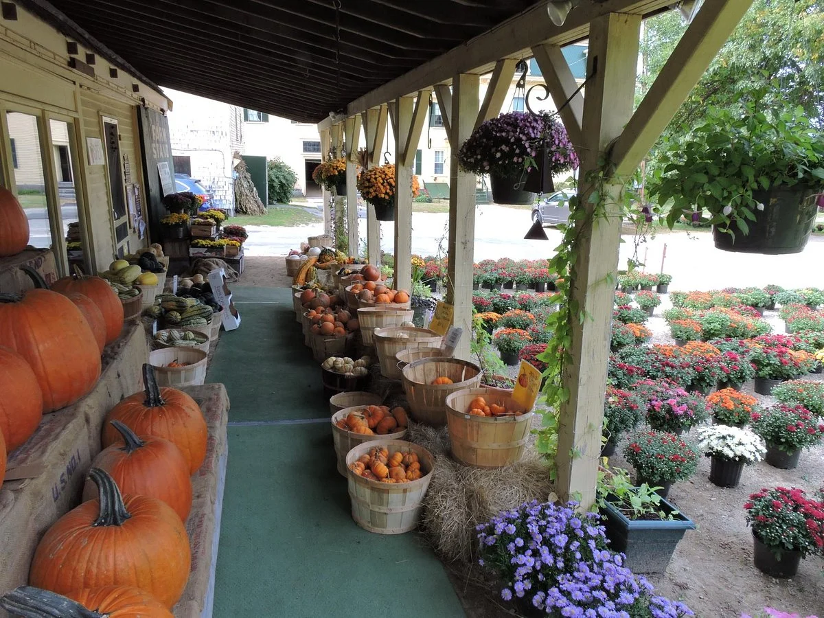 Weston's Farm