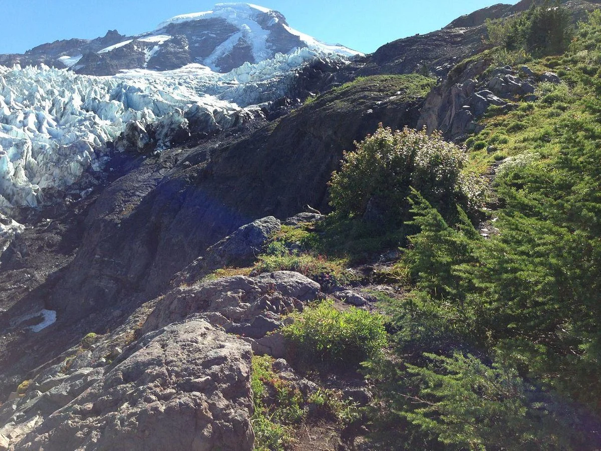 Heliotrope Ridge Trail