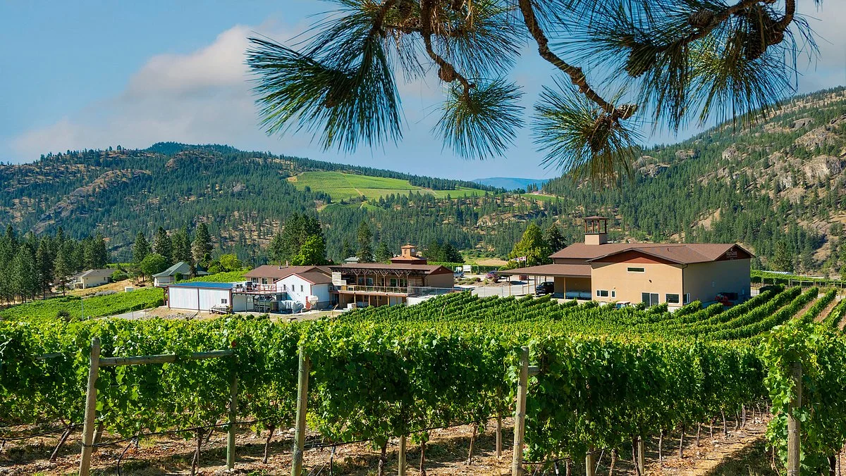 Wild Goose Vineyards