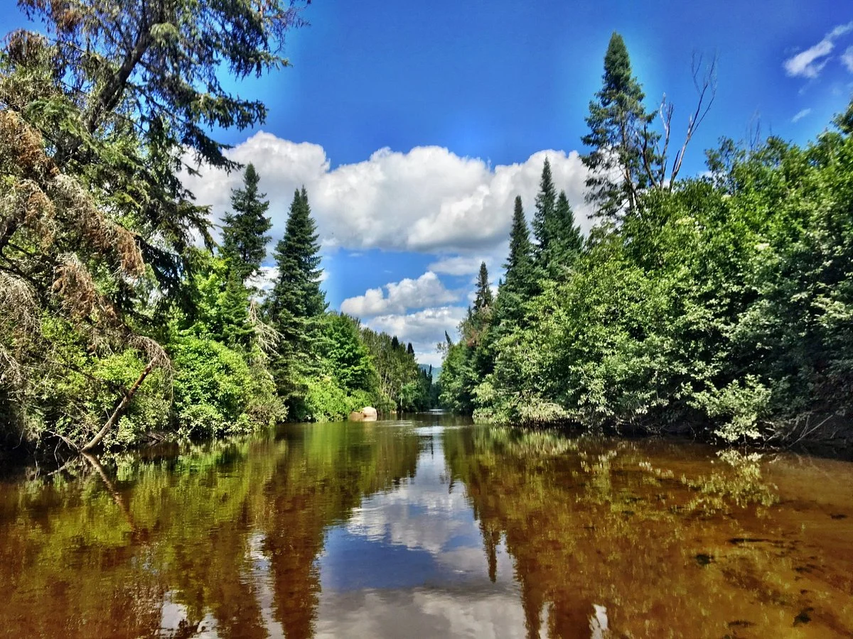Les Marais du Nord