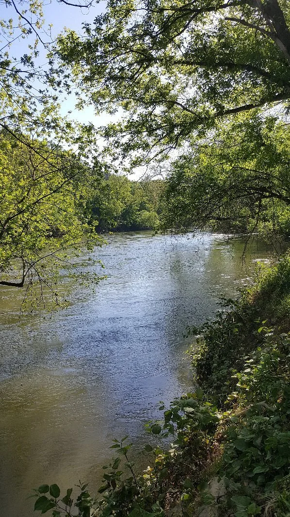 Carrier Park