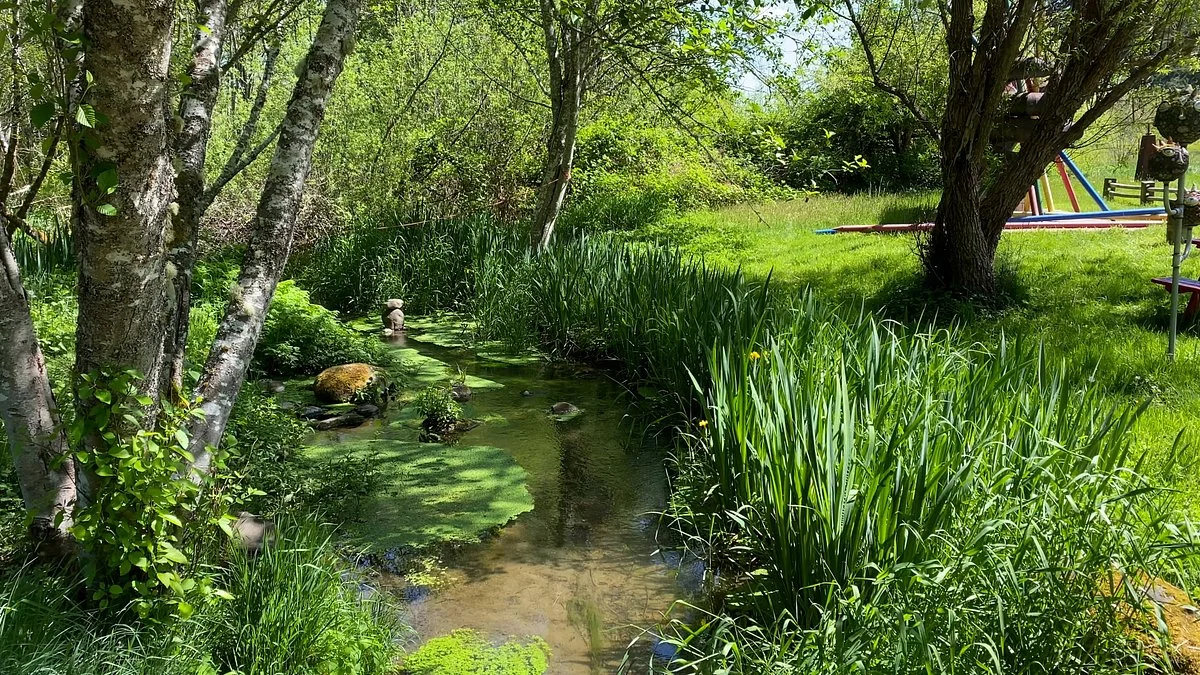Monarch Sculpture Park