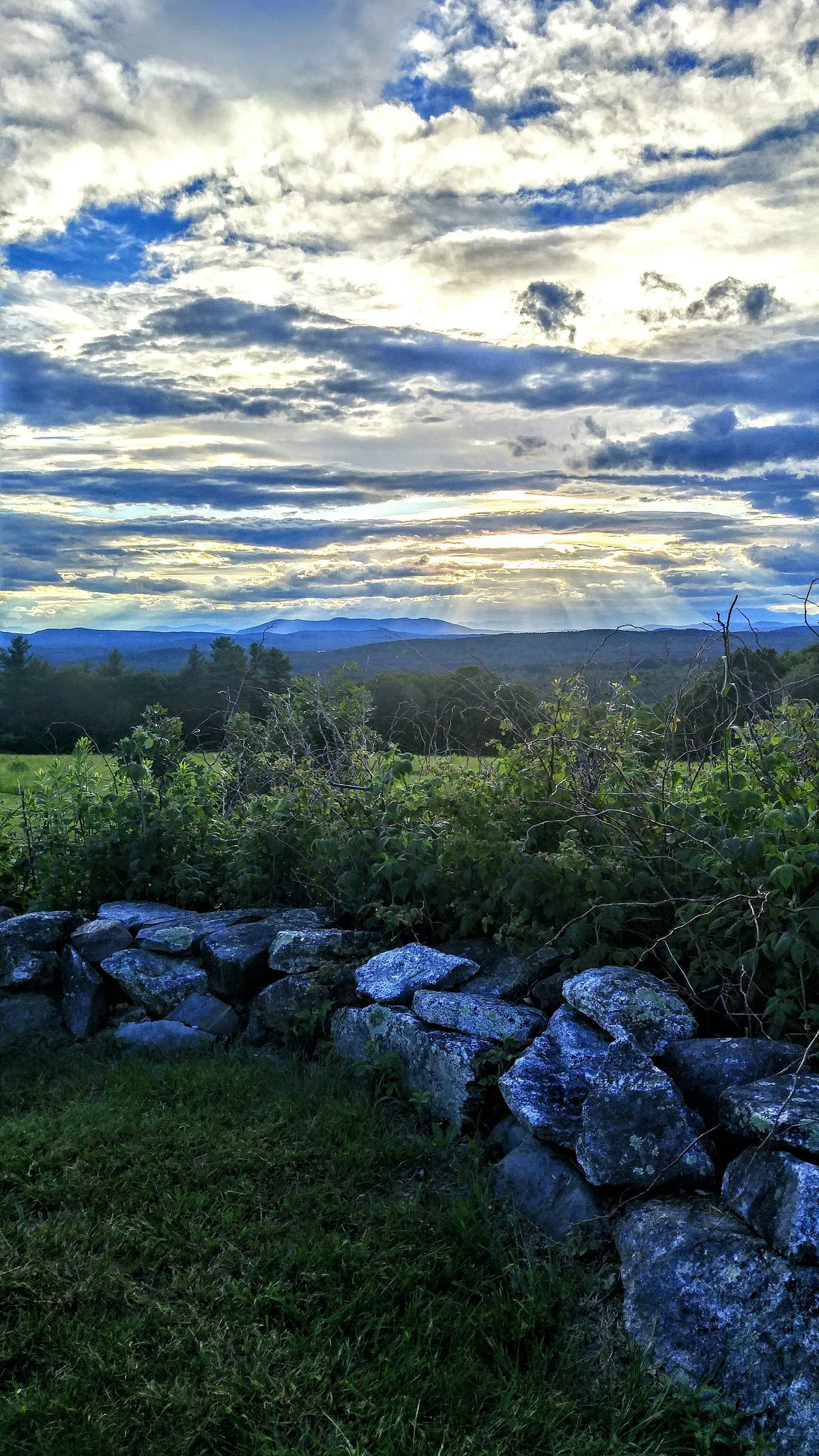 Hacker's Hill Preserve