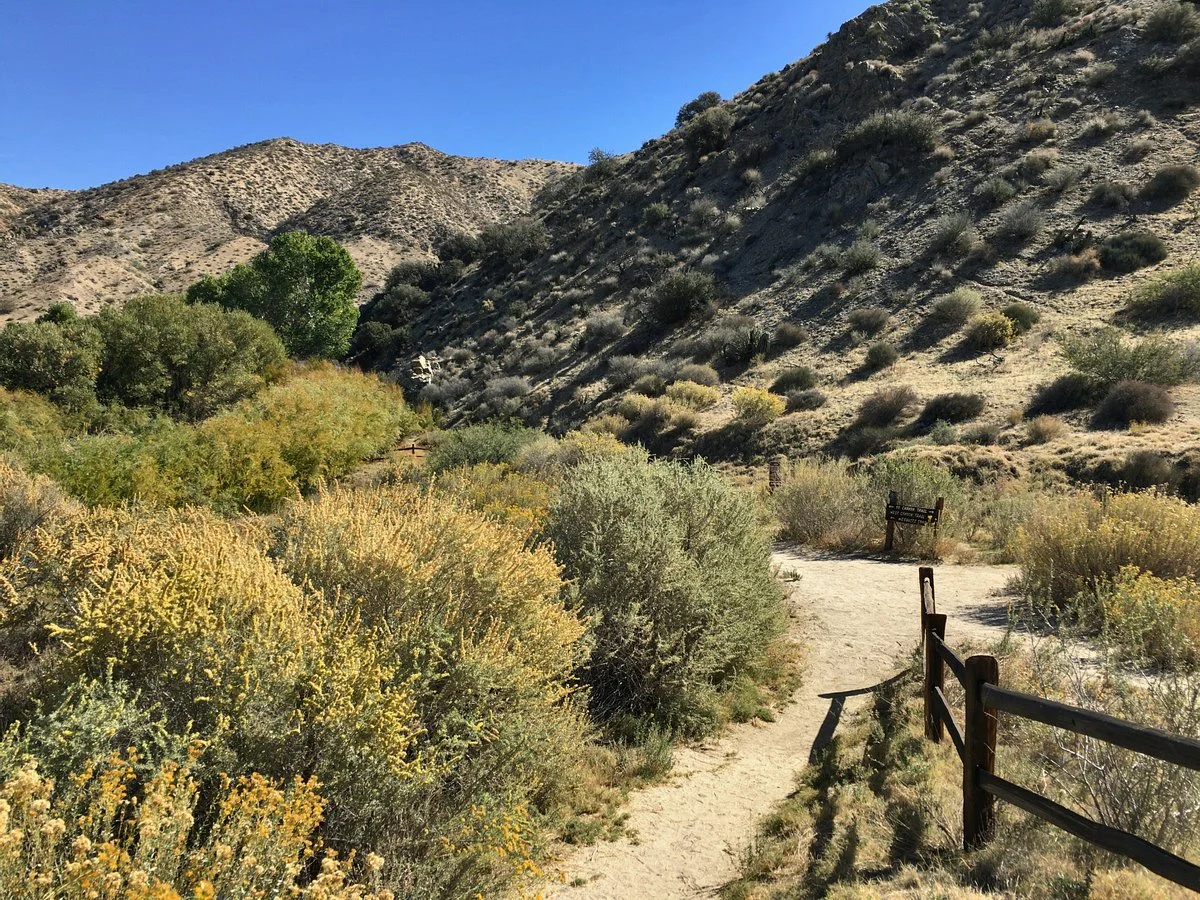 Big Morongo Canyon Preserve