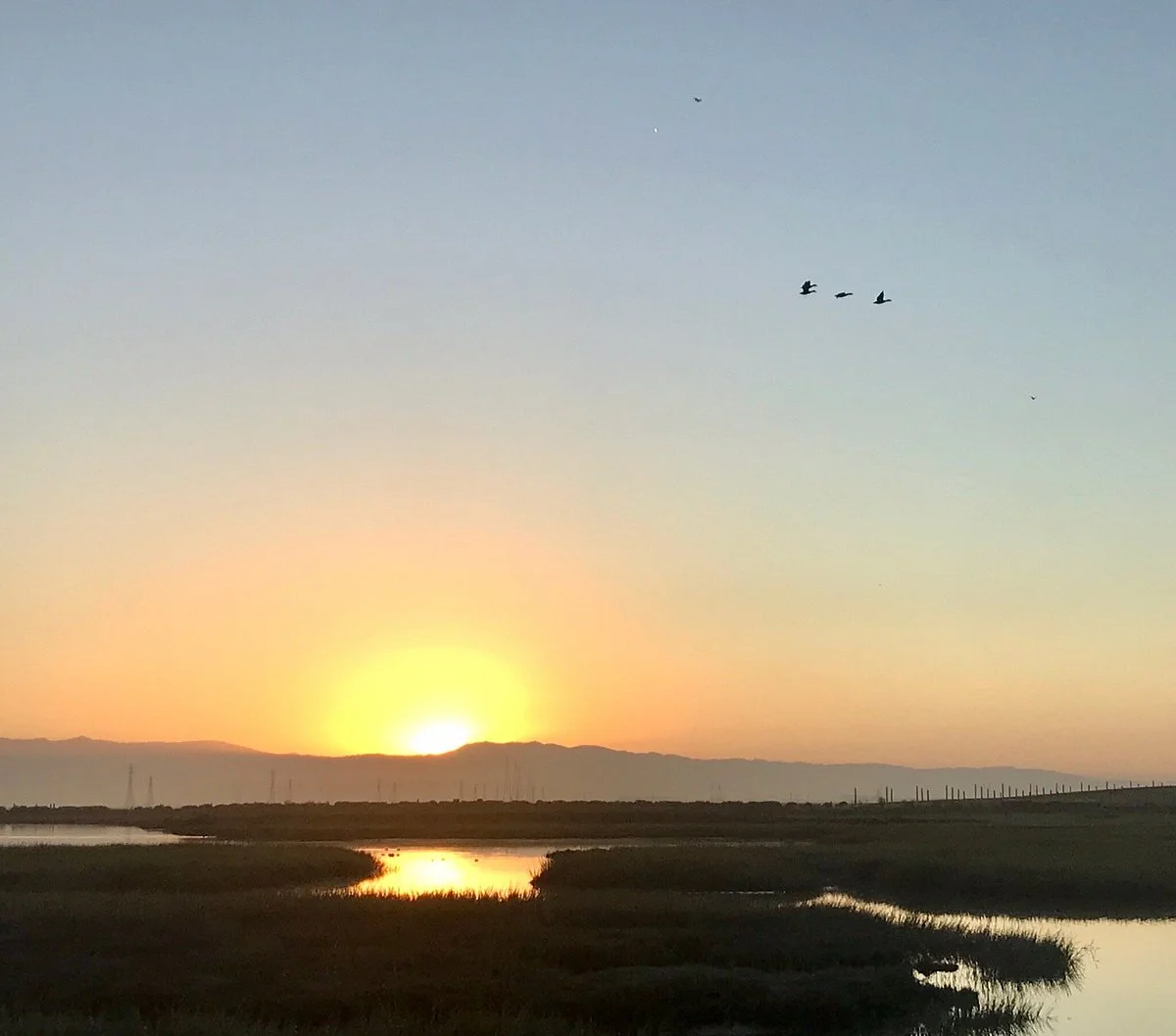 Palo Alto Baylands Nature Preserve