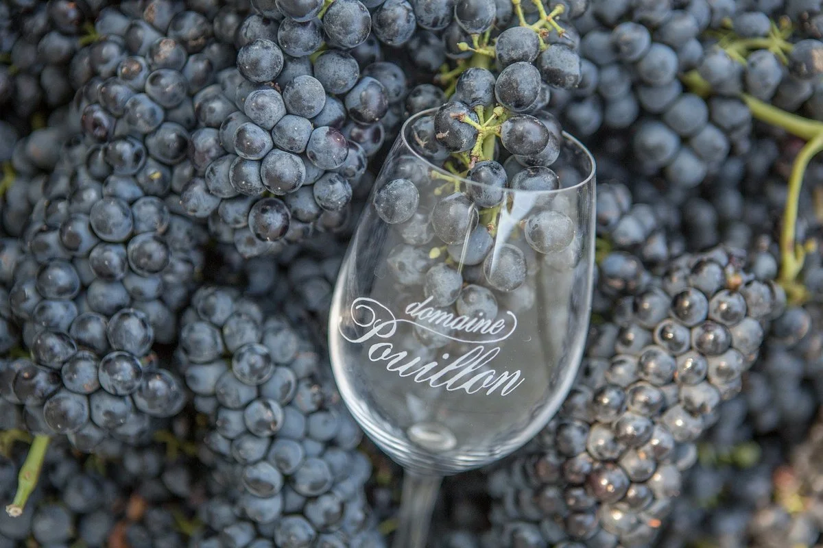 Domaine Pouillon