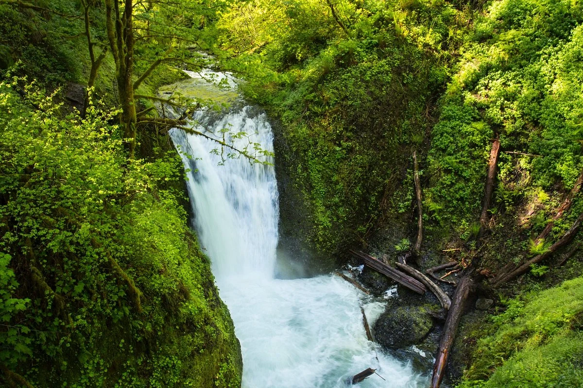 Oneonta Gorge
