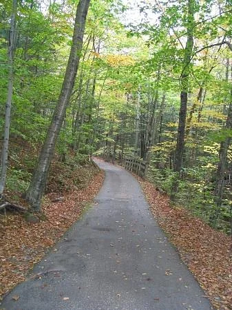 White Mountain Trail