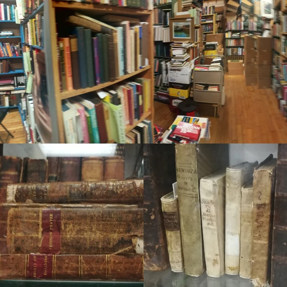 Dogtown Bookshop