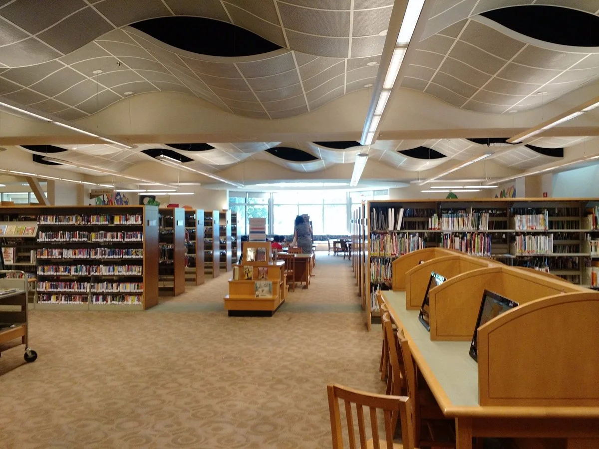 Dublin Public Library