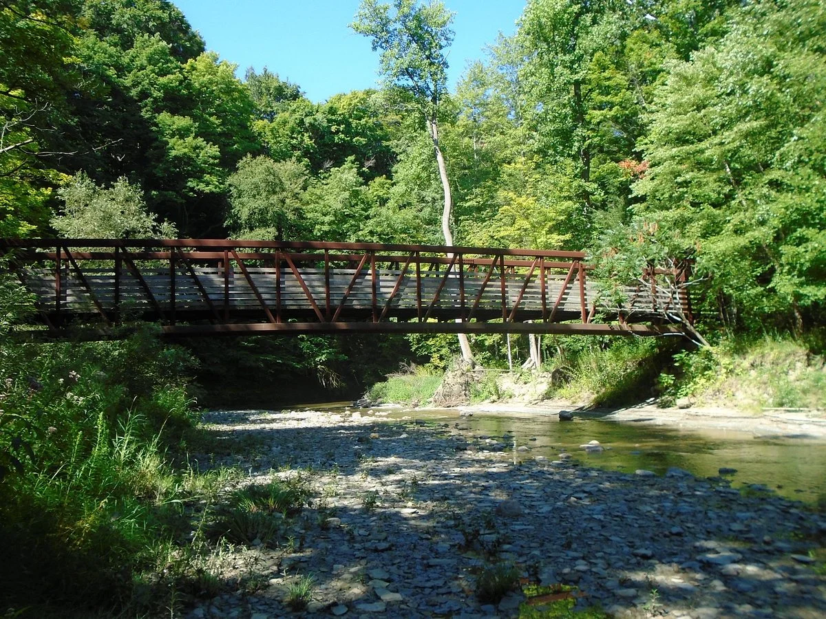 Asbury  Woods