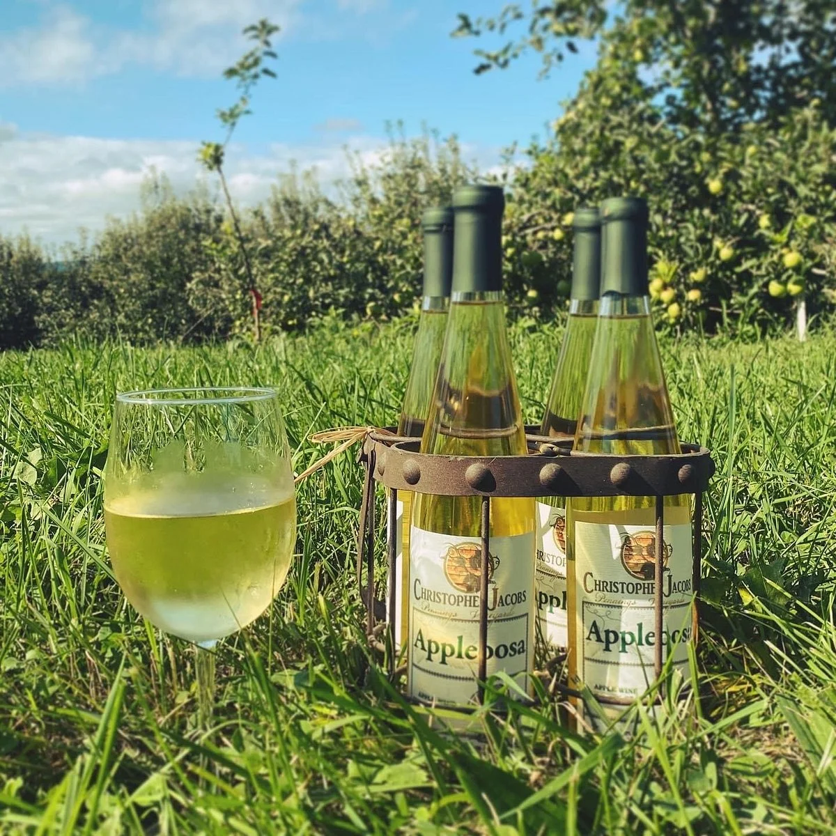 Christopher Jacobs Winery at Pennings Vineyard