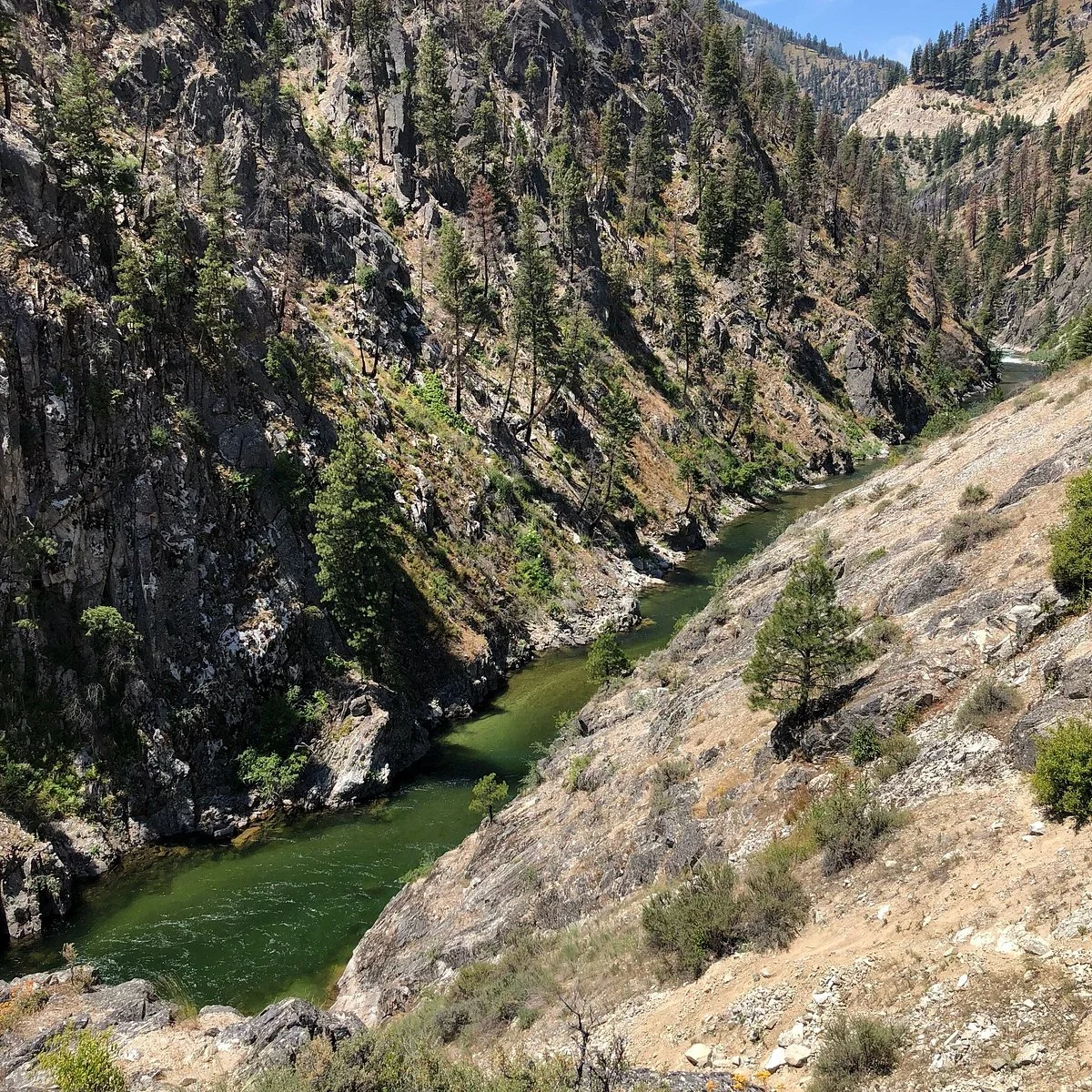 Kirkham Hot Springs