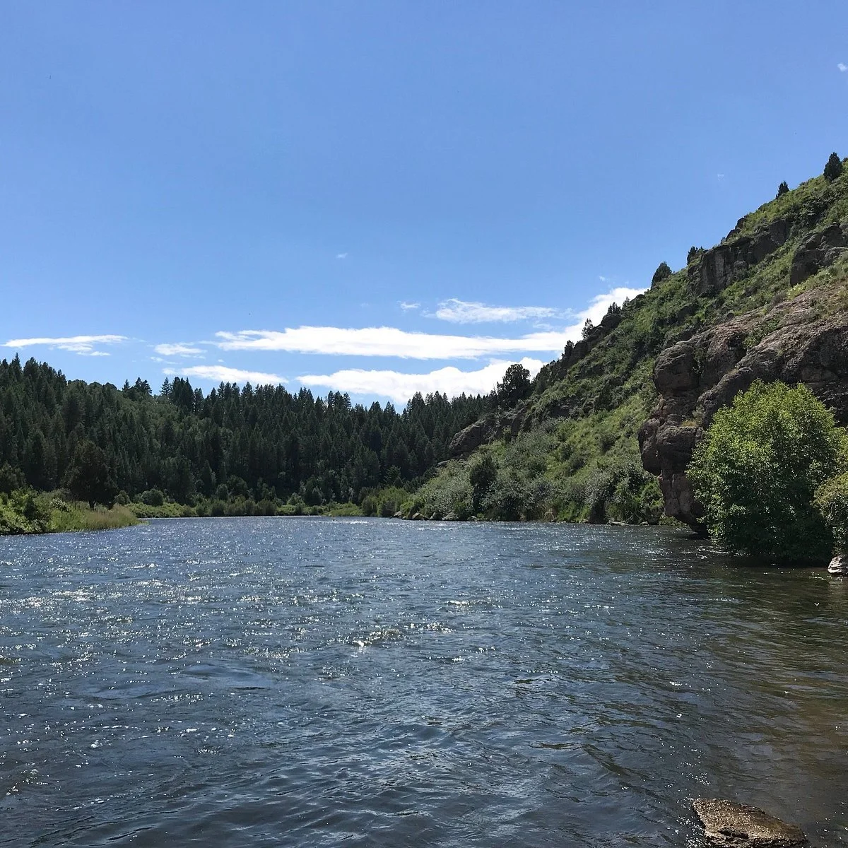 Henry's Fork Anglers