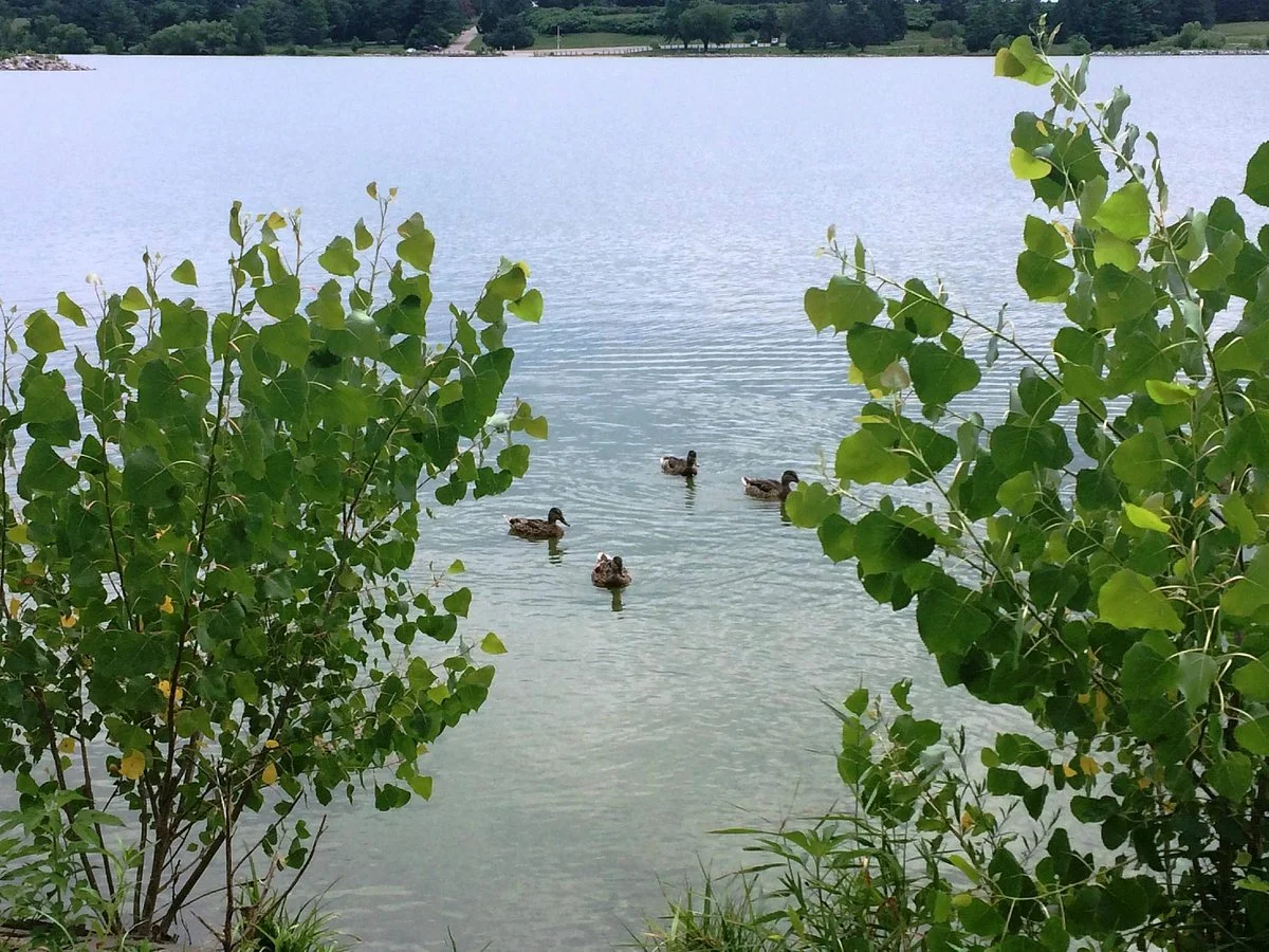 Holmes Park & Lake