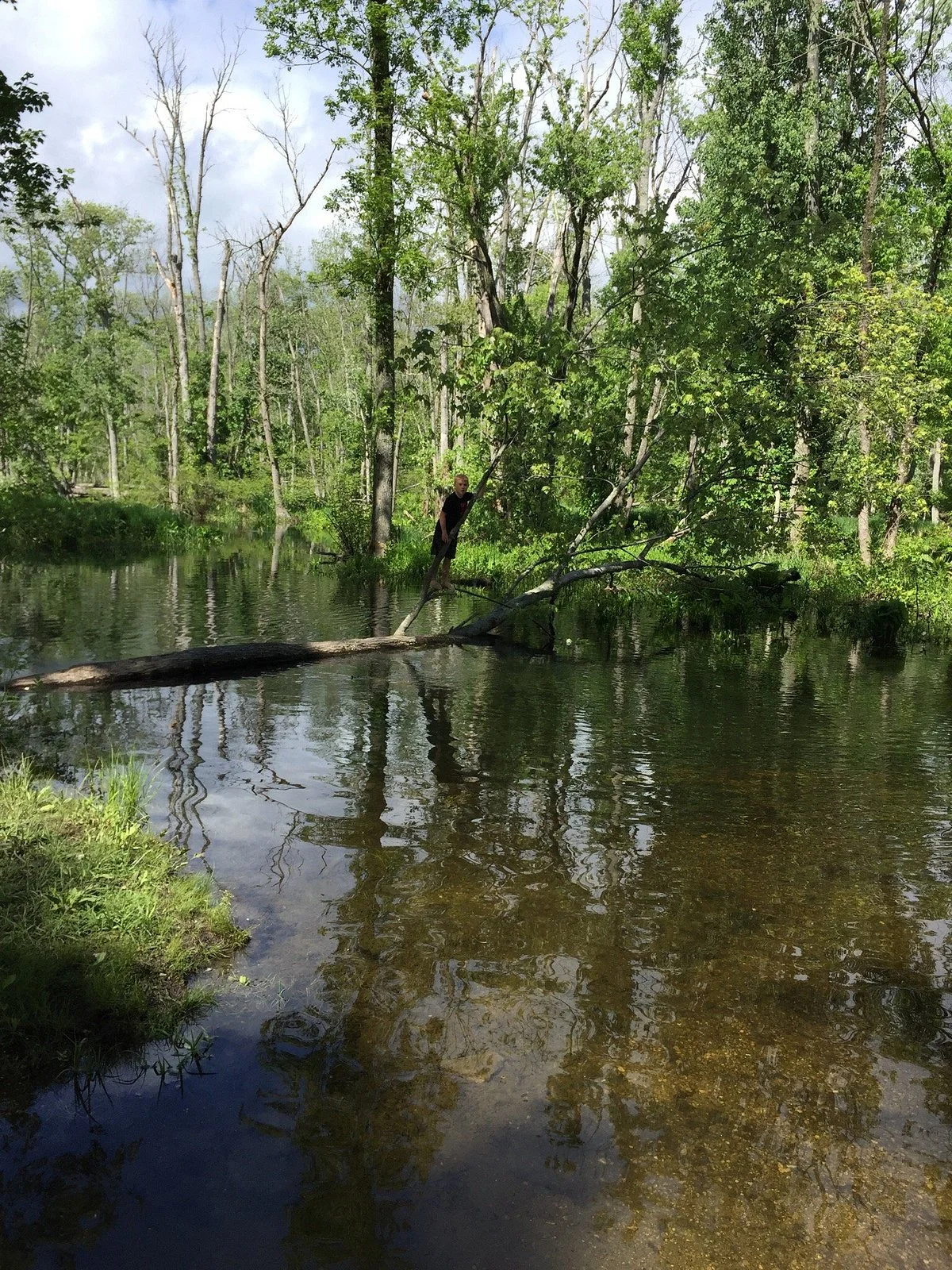 Great Swamp Wildlife Management Area