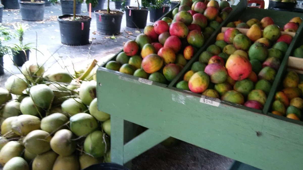 Fruitscape