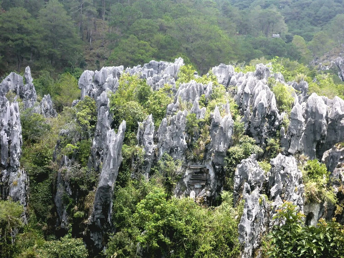 Echo Valley