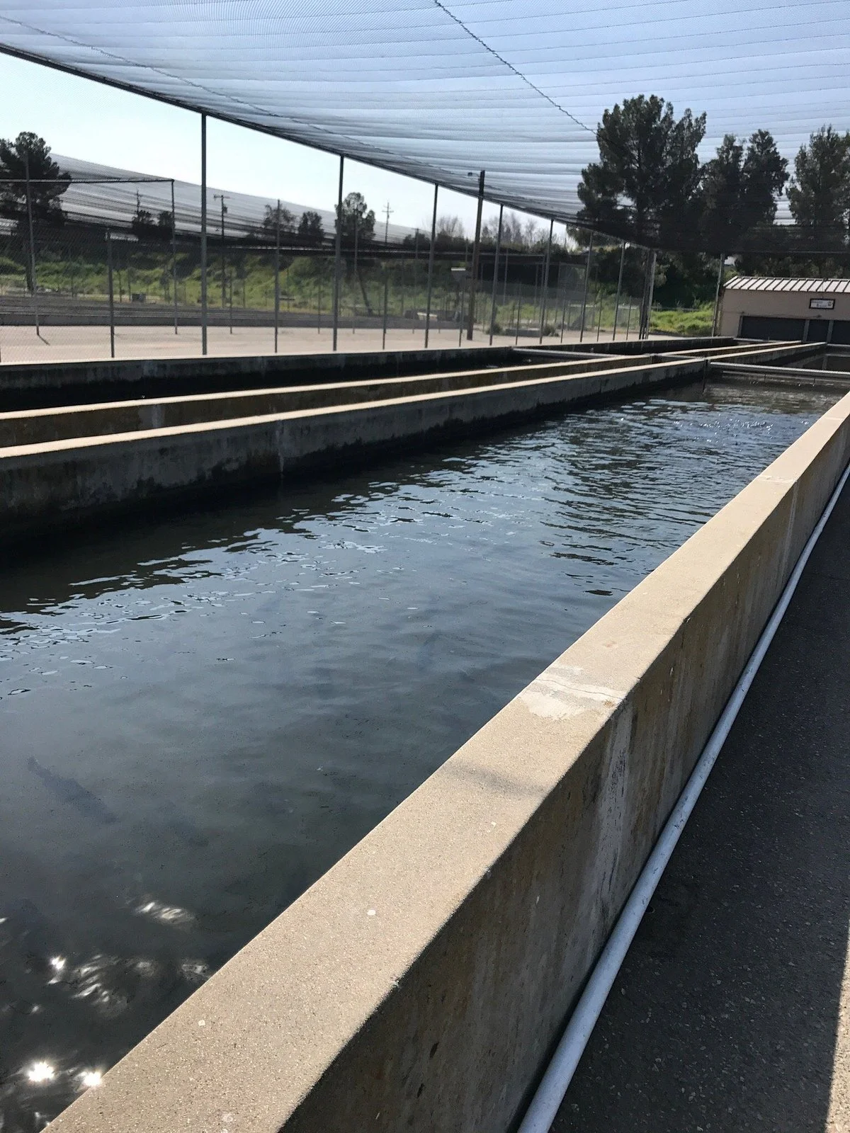 San Joaquin Hatchery