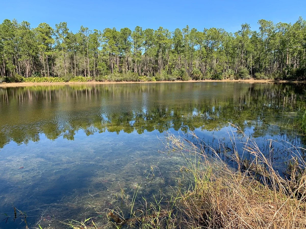 Flatwoods Wilderness Park