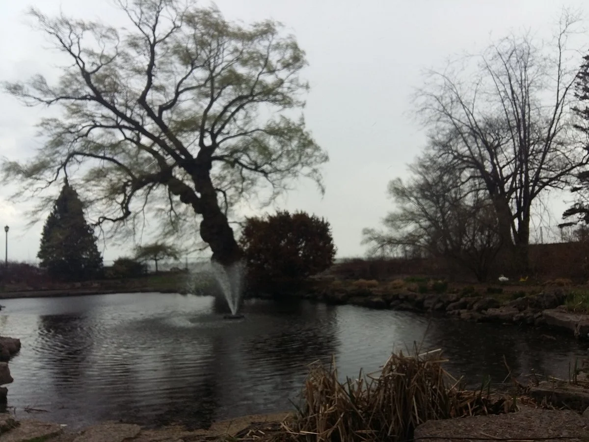 Oakville Galleries