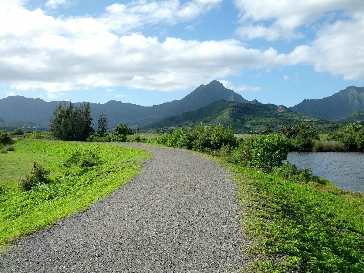 Kawai Nui Marsh