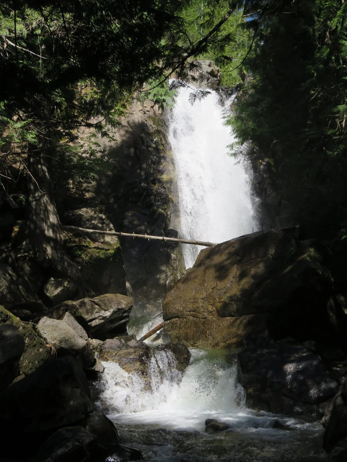 Falls Creek Falls Trail Head