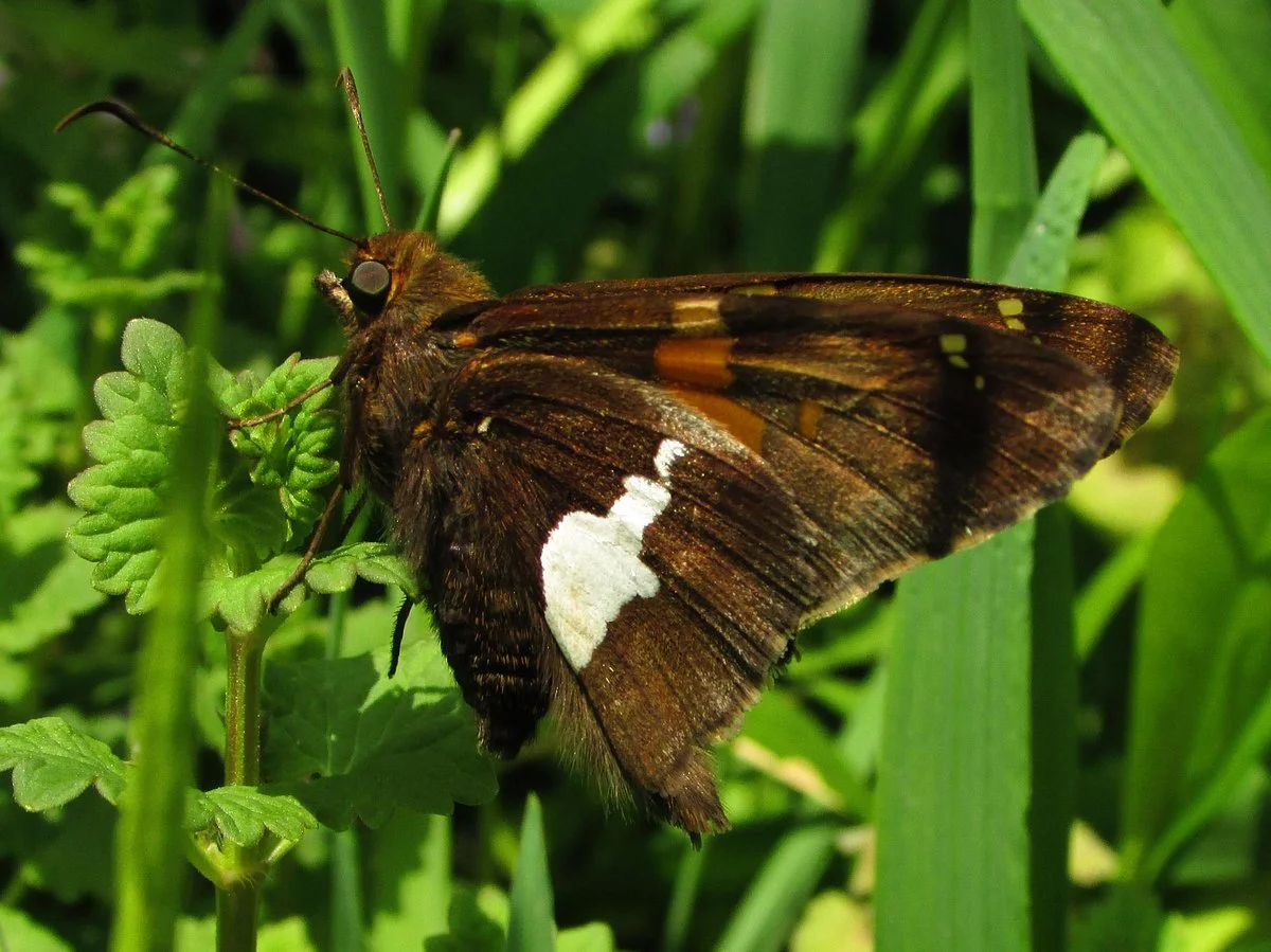 Stratford Ecological Center