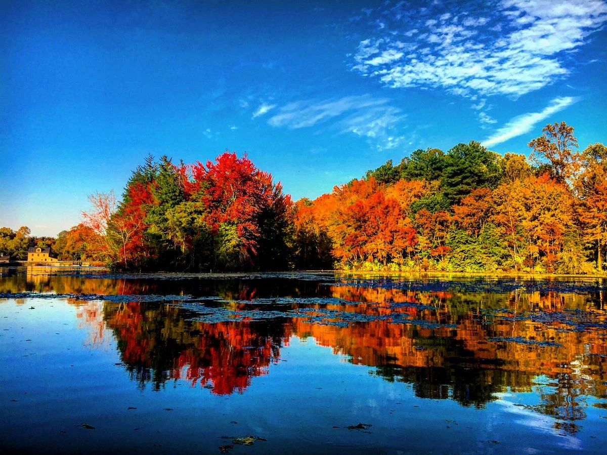 Abbott's Mill Nature Center