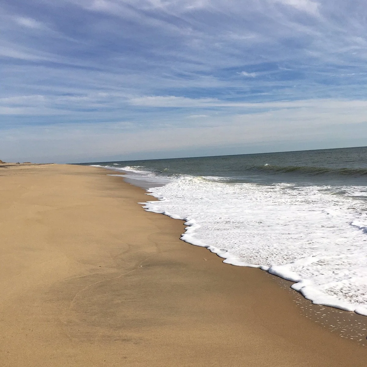 Katama Beach (South Beach)