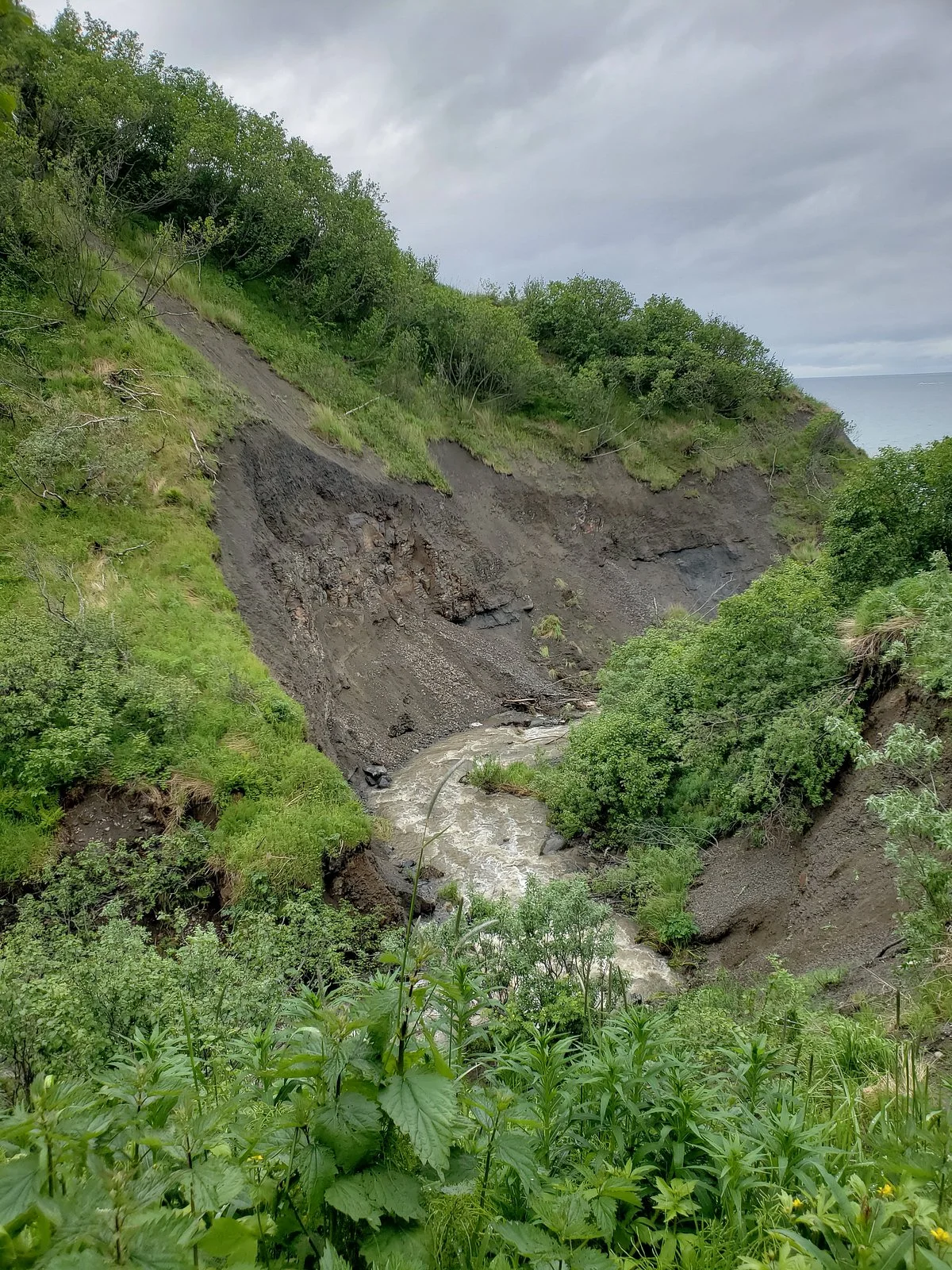 Diamond Creek Trail